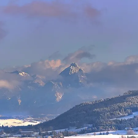 Rose Oy-Mittelberg