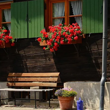 Rose Hotel 3*