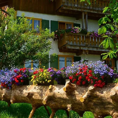 Hotel Rose