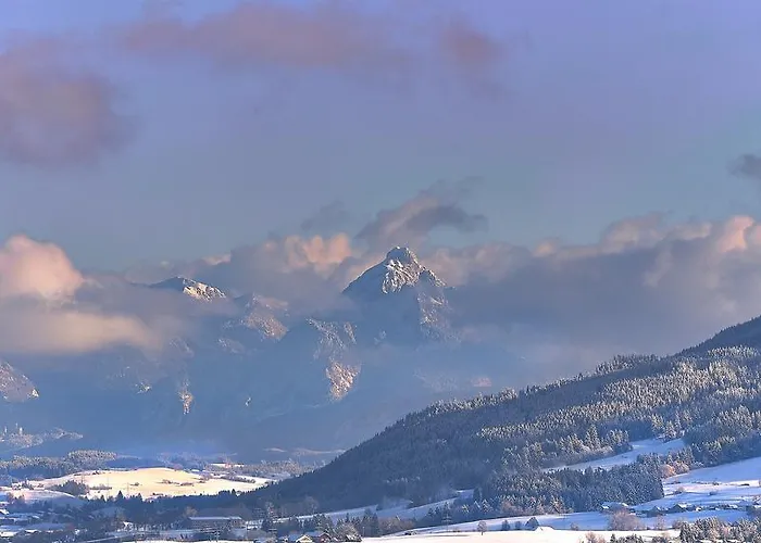 Rose Oy-Mittelberg