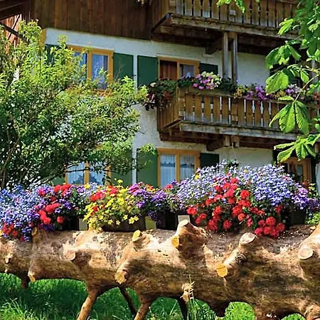 Rose Hotel 3*